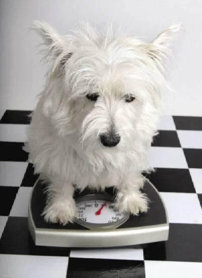 It's vital to prevent gradual weight gainsmall changes can have a big impact over time.