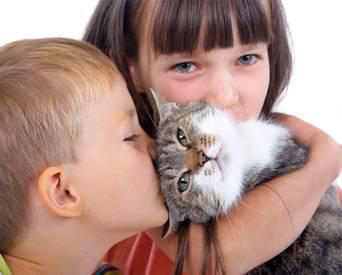 It is important to show pet parents that better ingredients mean a better quality of life for their companions, that feeding their pets your product can strengthen their emotional bond with their animals and that bond helps support their own health and wellness.
