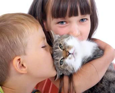 It is important to show pet parents that better ingredients mean a better quality of life for their companions, that feeding their pets your product can strengthen their emotional bond with their animals and that bond helps support their own health and wellness.