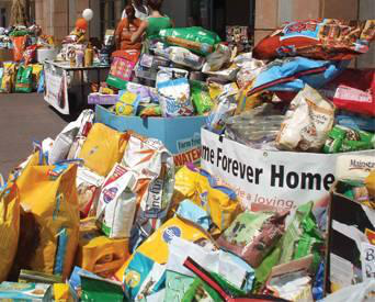 The simple act of donating petfood not only saves companion animals' lives, but it also keeps families together when they've already lost so much.