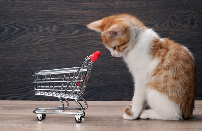photo by kozorog | BigStockPhoto
