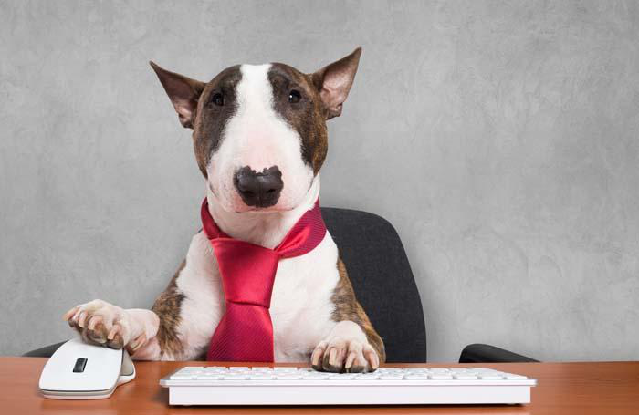(Minerva Studio, BigStock.com)