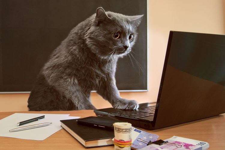 (Kovbasniuk | BigStock.com)