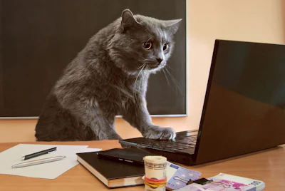 (Kovbasniuk | BigStock.com)