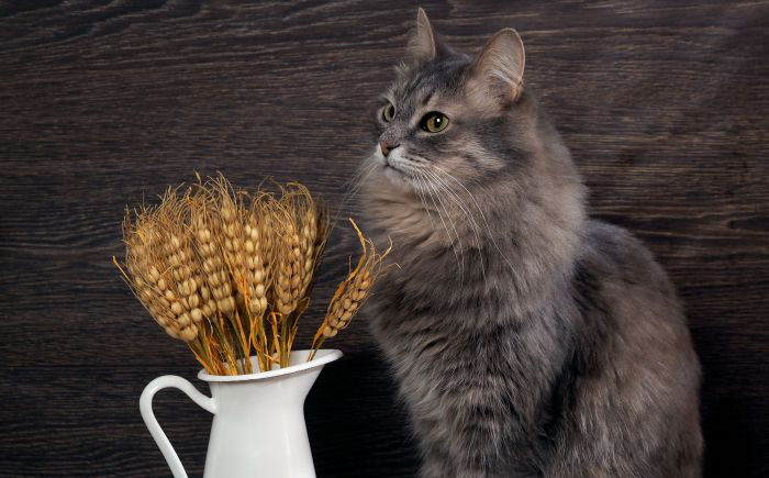 photo by kozorog | BigStockPhoto