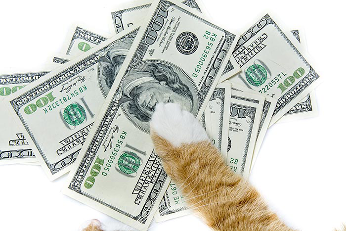 Photo by shymar27, Bigstock.com
