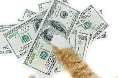 Photo by shymar27, Bigstock.com
