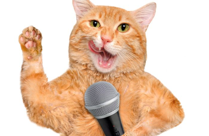 (Rasulov | BigStock.com)