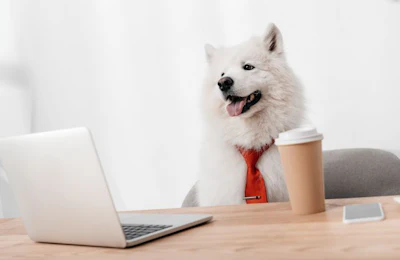 (LightField Studios | BigStock.com)