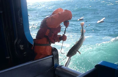 courtesy Alaskan Leader Seafood