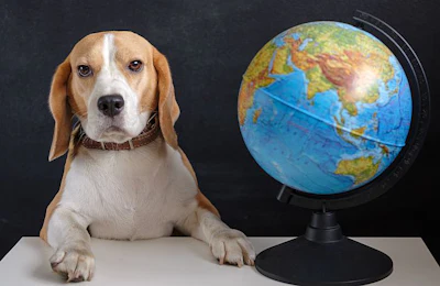 (androsov858 | BigStock.com)