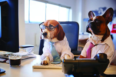 AAFCO’s Mid-Year Meeting had a full docket of topics to cover in various committees. | (monkeybusinessimages | iStock.com)