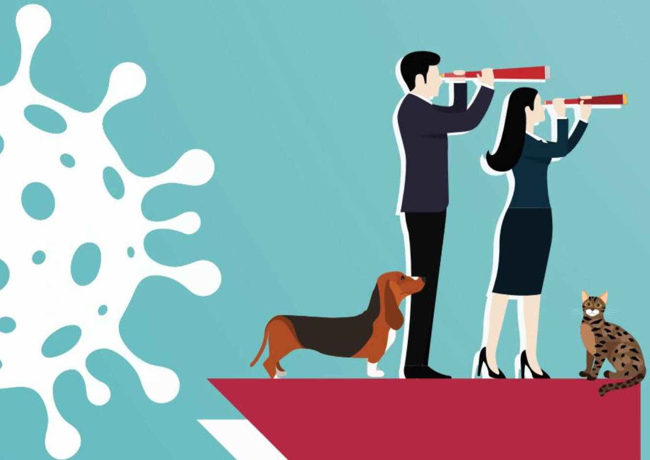 The pet food market didn’t just survive 2020; in general, it thrived despite the pandemic and economic crisis. | Tess Stukenberg, Phishit | iStock.com K3star | Shutterstock.com