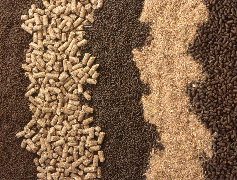 animal-feed-bkgrnd