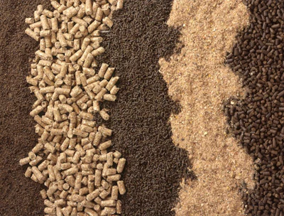 animal-feed-bkgrnd