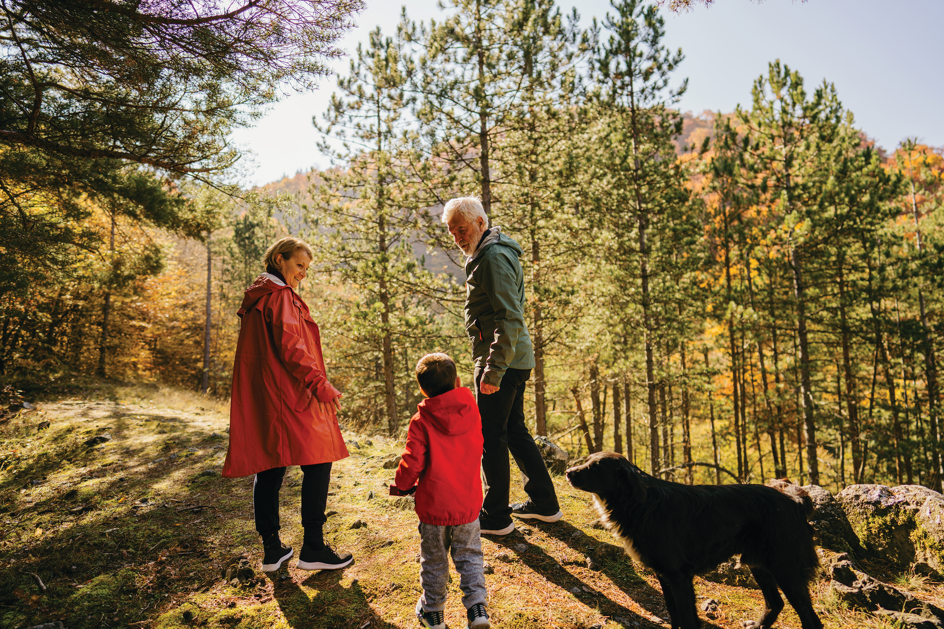 All the generations love their pets, but they may have different priorities when it comes to feeding their beloved animal.