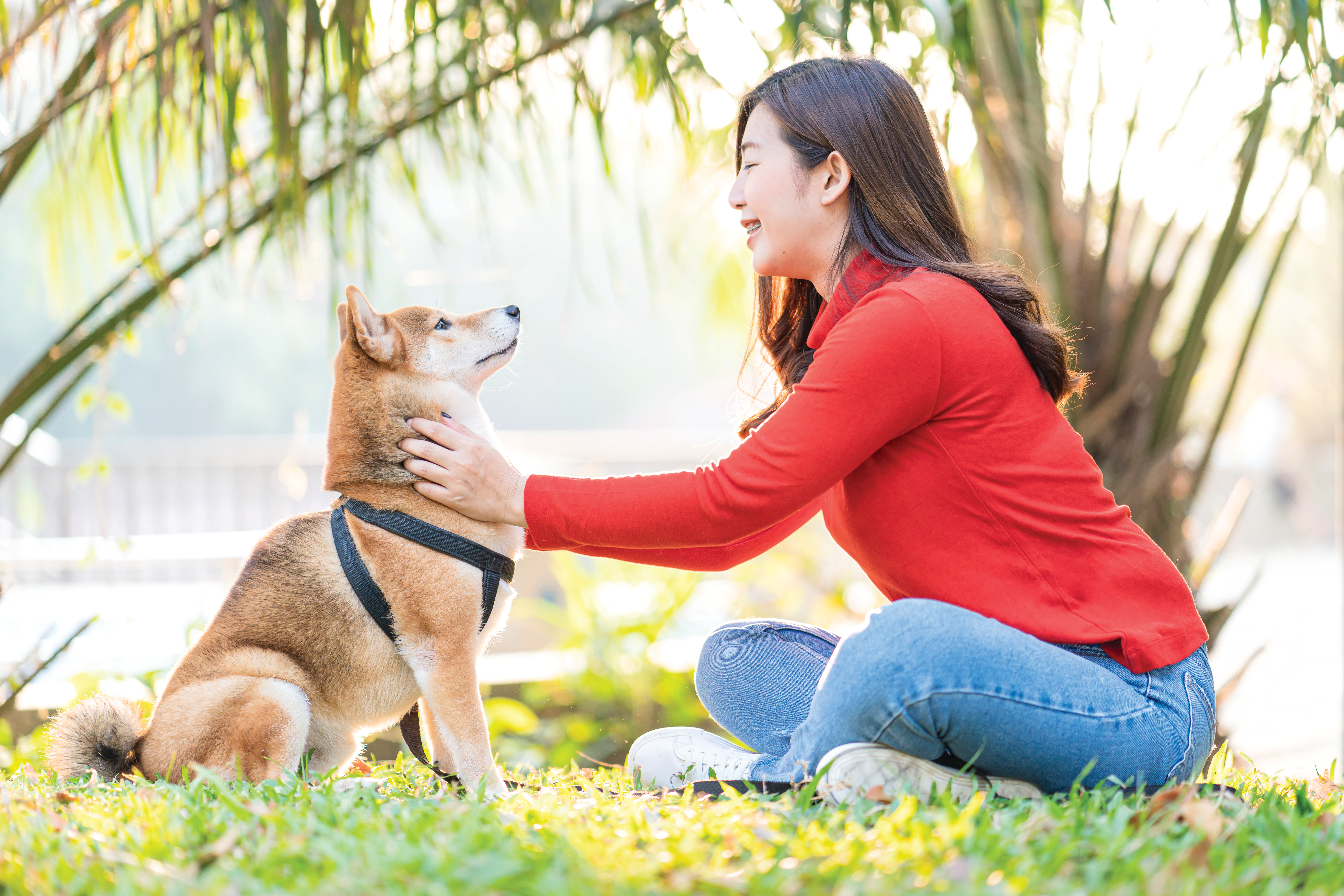 As Japanese pet owners increase the humanization of their pets, they are beginning to consider what domestic pet food brands may have to offer that imports can&rsquo;t match.