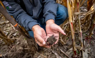 Nestlé Purina and Cargill are partnering on regenerative agriculture adoption to reduce the carbon footprint of Purina dry pet food products.