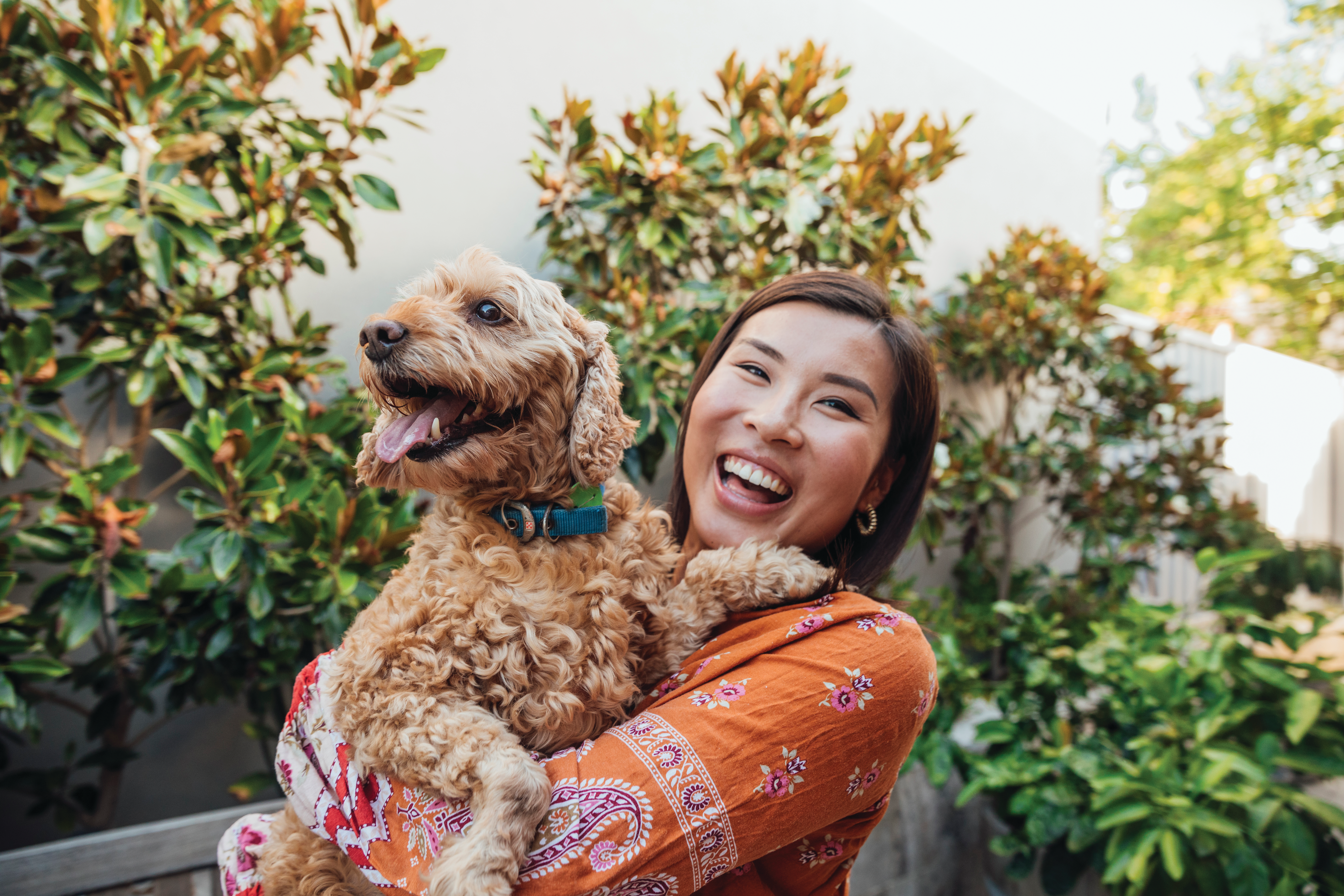 Pet ownership in the Asia-Pacific region continues to grow, leading to plenty of opportunities for the pet treats market there.