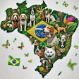 Dall·e 2024 09 20 14 18 09 A Detailed Map Of Brazil Made From A Mosaic Of Images Of Cats The Mosaic Should Be Vibrant And Colorful, Evoking The Spirit Of Carnivale, With Elemen