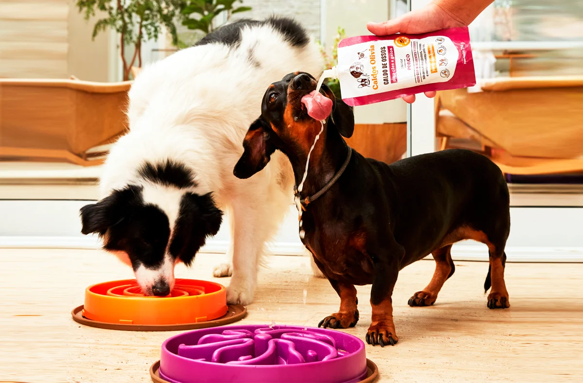 Conveni&ecirc;ncia, estilo, seguran&ccedil;a e sustentabilidade ditam as inova&ccedil;&otilde;es em embalagens de pet food.