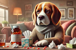Ingredientes Imunidade Cães