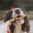 Petiscos Para Cães