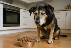 Cães Idosos Fórmulas Ração