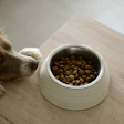 De acordo com a Triplethree International, o Chile não é apenas um importador de pet food — ele seleciona cuidadosamente o que permite entrar no país, fugindo do consumo passivo e apostando em uma escolha estratégica.