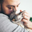 Person gently cuddling a tabby cat, showing affection and tenderness