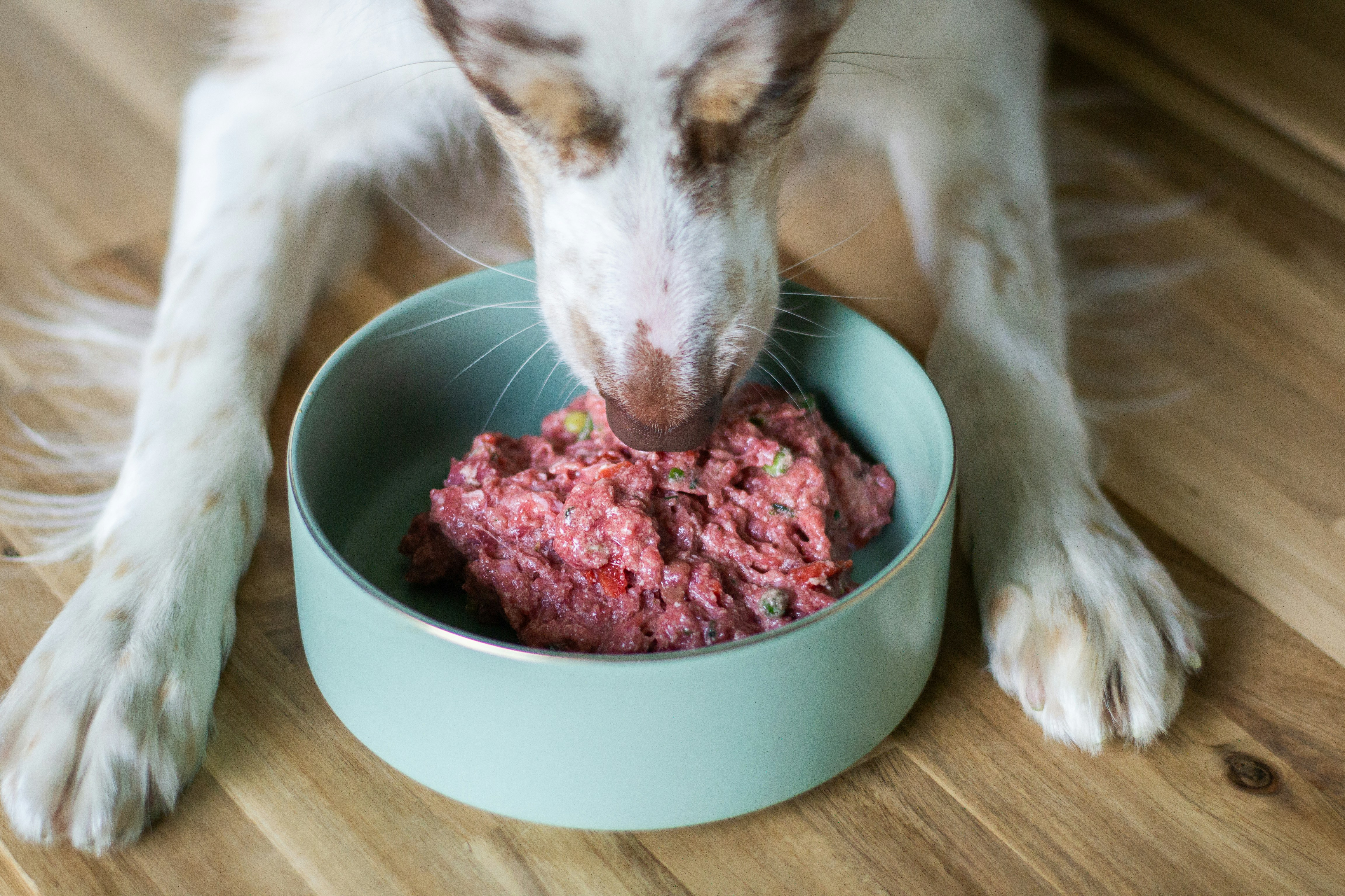 Busca por alimentos funcionais e livres de ingredientes artificiais justificam prefer&ecirc;ncia dos tutores por org&acirc;nicos e naturais.