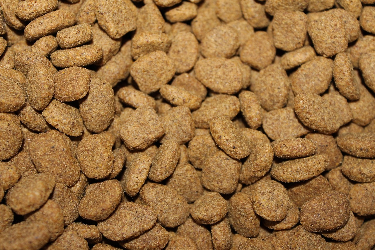 Decreto Alimenta&ccedil;&atilde;o Animal