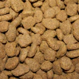 Decreto Alimentação Animal