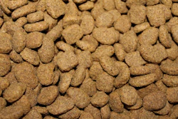 Decreto Alimentação Animal
