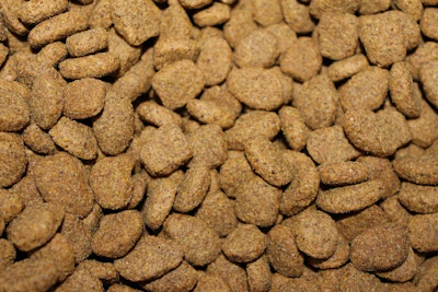 Decreto Alimentação Animal