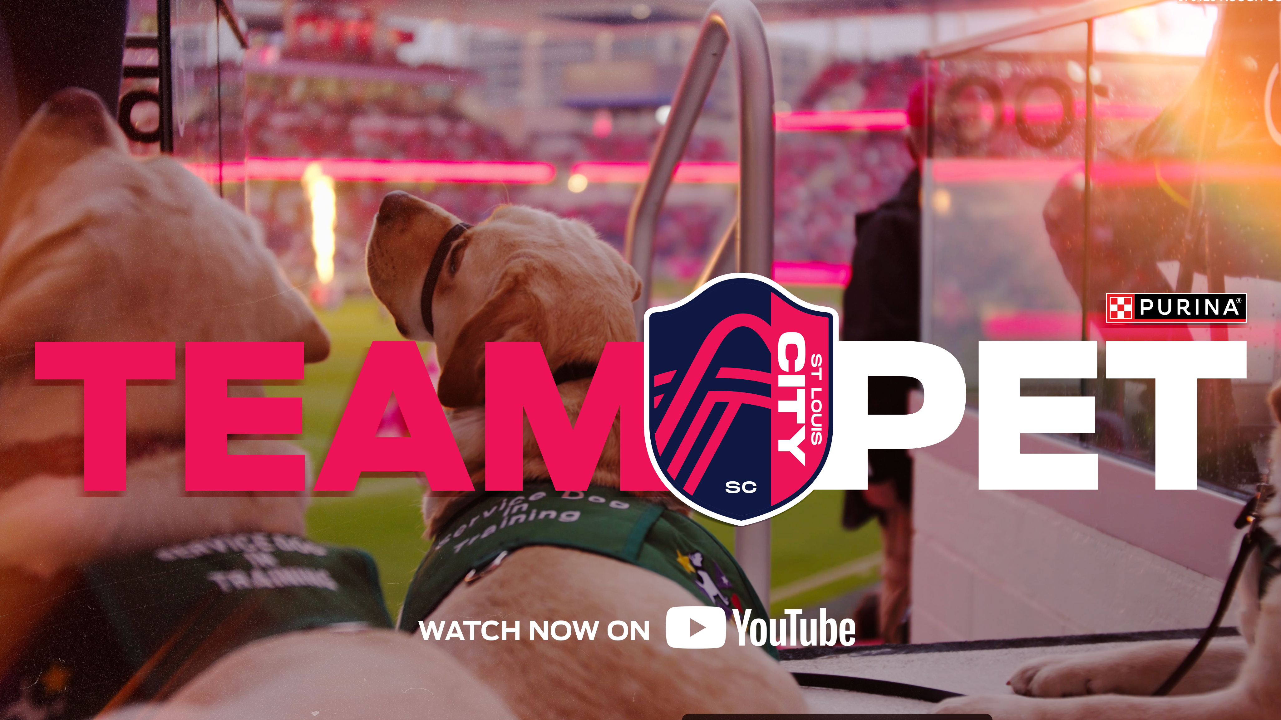 St. Louis CITY SC's team pet will join players during training and recovery while participating in matchday activities at Energizer Park.