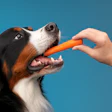 Ração Vegetariana Europa