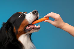 Ração Vegetariana Europa