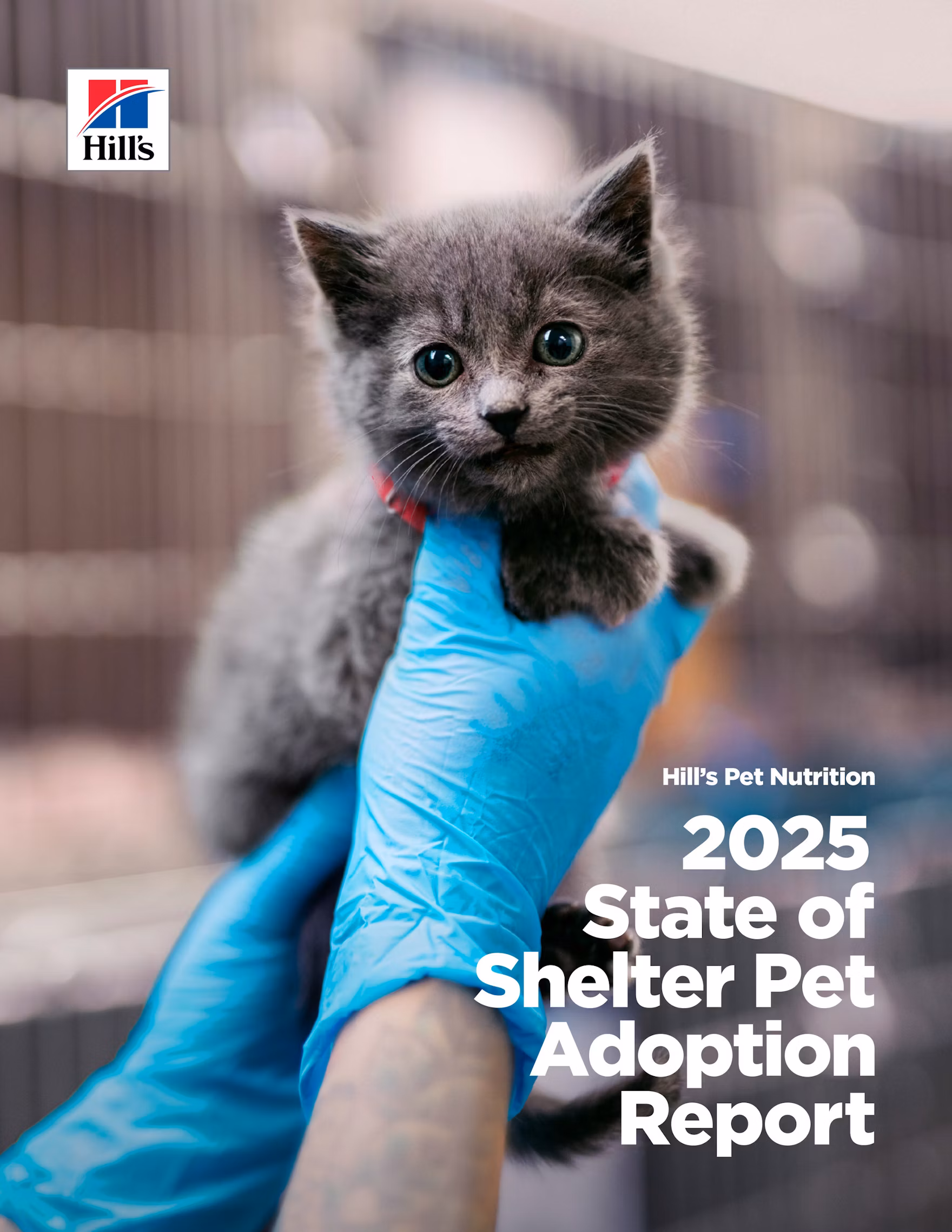 2025 Shelter Report Cover Hires wm Xpi1pj1z