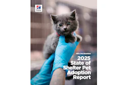 2025 Shelter Report Cover Hires wm Xpi1pj1z