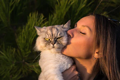 Os gatos estão presentes em 49 milhões de lares nos Estados Unidos em 2024, alta impulsionada pelos 'pais de pet' da Geração Z e Y.