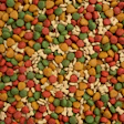 Pet Food Alimentação Animal