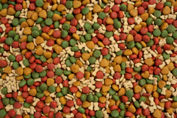 Pet Food Alimentação Animal