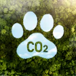 Pegada Ambiental Cães E Gatos Impacto Meio Ambiente