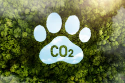 Pegada Ambiental Cães E Gatos Impacto Meio Ambiente
