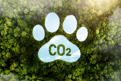 Pegada Ambiental Cães E Gatos Impacto Meio Ambiente