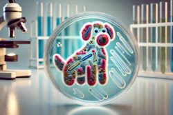 Salmonella Dietas Cruas Para Cães
