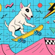 Alimentos Crus Para Pets