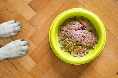 Dietas Caseiras Para Cães