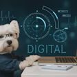A implementação de soluções digitais no mercado pet pede por mudanças culturais e organizacionais.